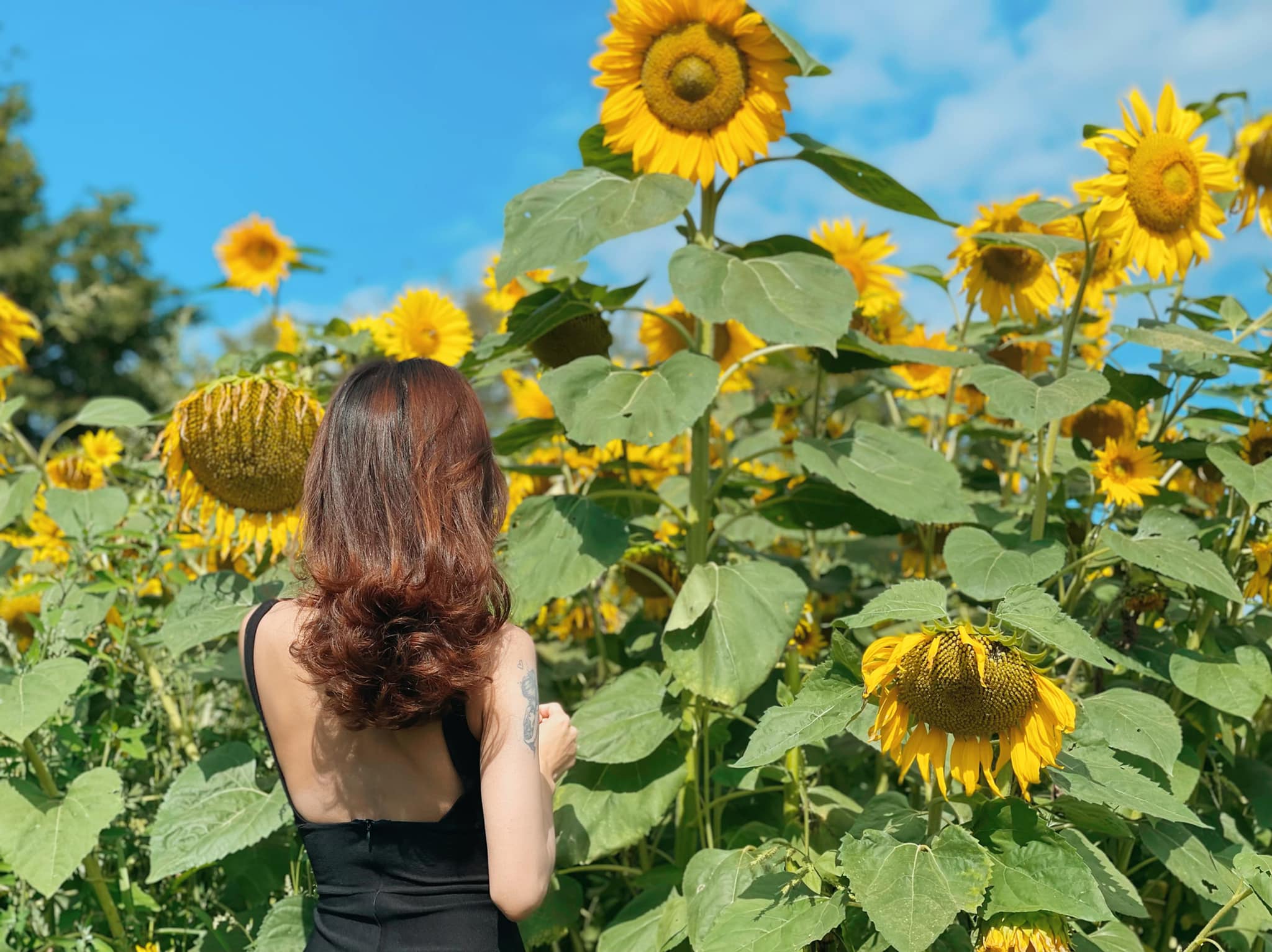 Mấy c e ở phòng có món quà nhỏ gọi tặng e, quà kỷ niệm, nhớ giữ gìn cẩn thận nhé  Mấy c e ở phòng có món quà nhỏ gọi tặng e, quà kỷ niệm, nhớ giữ gìn cẩn thận nhé