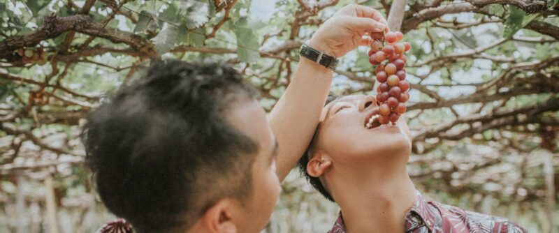 Chụp ảnh cưới ở biển Vĩnh Hy, Phan Rang